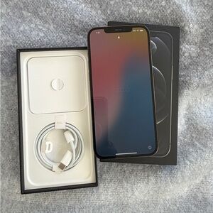 Apple iPhone (Black) with White USB-C to Lightning Cable